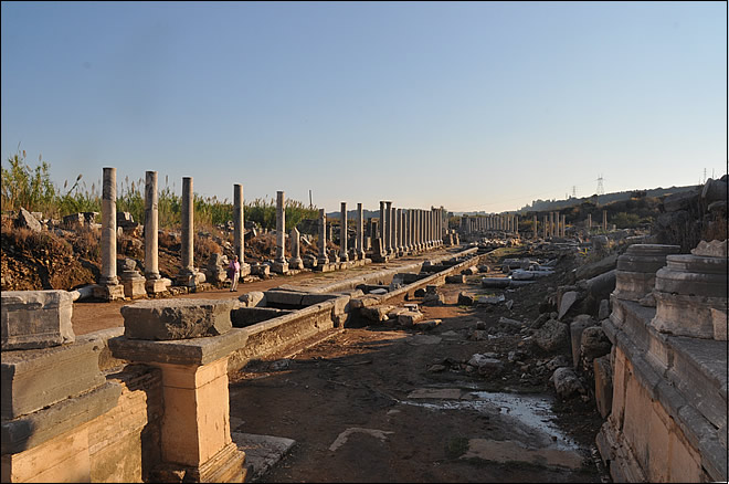 Le cardo de Pergé, bordé de colonnes