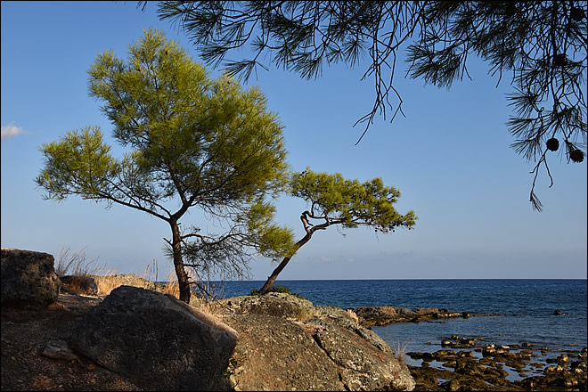 Le bord de mer sur le site de Phaselis